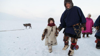 Власти Коми добились дополнительной федеральной поддержки оленеводческих хозяйств республики