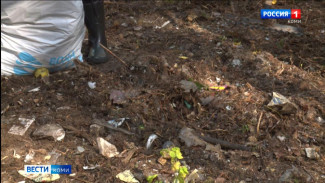 В Республике Коми регулярно ликвидируют несанкционированные свалки