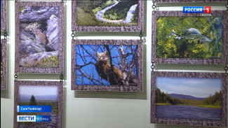 В Национальном музее Республики Коми открылась выставка «Божелесье»