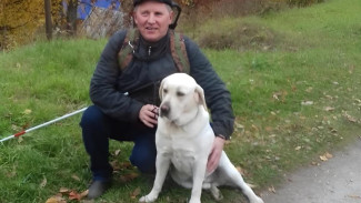 Пять собак–проводников предоставило Отделение Социального фонда по Республике Коми жителям региона с нарушениями зрения