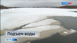 Вода в реках Коми поднимается от 5 до 51 см за сутки