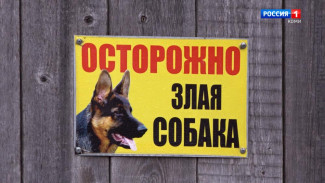 Укус собаки обошелся хозяйке в 200 тысяч рублей   