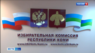 Избирком Республики Коми принял решение о проведении дистанционного электронного голосования на выборах 14 сентября