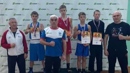 В копилке представителей Коми 27 медалей на турнире по боксу в Коряжме
