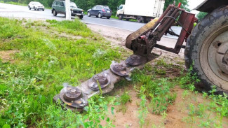 Администрация Сыктывкара направила в адрес предприятий и организаций города требование скосить траву и борщевик на прилегающих территориях