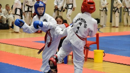 В столице Коми пройдут республиканские соревнования по тхэквондо МФТ