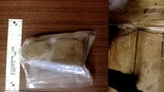 В Ухте наркополицейскими задержан мужчина, подозреваемый в покушении на сбыт гашиша 