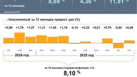 Годовая инфляция в Коми в сентябре составила 8,1%