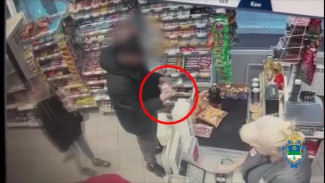 В Сыктывкаре оперативниками раскрыта кража денежных средств в продуктовом магазине