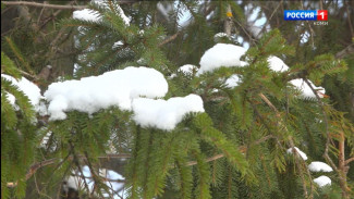 О погоде, которая ожидает нас на этой неделе