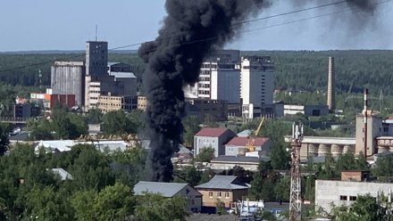 Сыктывкарцев сегодня утром напугал столб густого чёрного дыма 