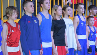 Кубок Главы Республики Коми по боксу собрал около 100 участников