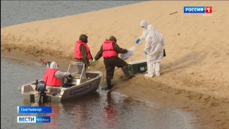 В Сыктывкаре на территории городского пляжа прошли учения сотрудников Минсельхоза