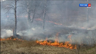 Минприроды Коми  напоминает о правилах пожарной безопасности
