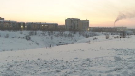 Госсовет Коми принял поправки в региональный закон об арктическом гектаре