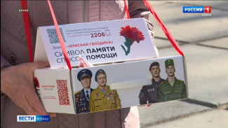 В Коми стартовала юбилейная Всероссийская акция "Красная гвоздика"