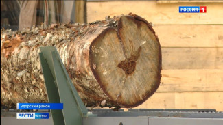 Проблему обеспечения отдаленных сёл Удоры дровами решили комплексно