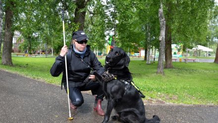 Отделения Соцфонда в Коми предоставляет собаку-проводника для инвалидов по зрению     