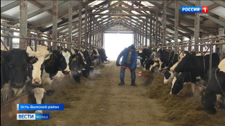 Владелец крестьянско-фермерского хозяйства из Усть-Вымского района собирается строить новую ферму