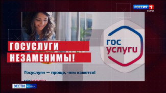 Более 2 млн россиян защитились от мошенничества благодаря сервису "жизненная ситуация"