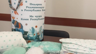 В Республике Коми начинают вручать «Подарок новорожденному»