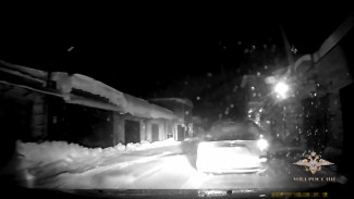 В Республике Коми сотрудники полиции применили огнестрельное оружие для задержания нетрезвого лихача