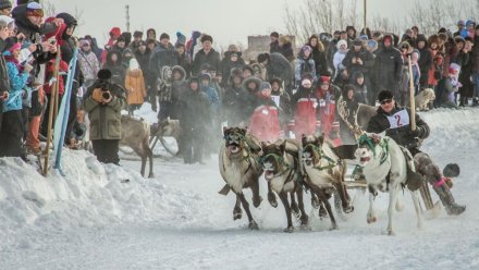 В Инте пройдет традиционный праздник оленеводов «Тэрыб кöр» (Быстроногий олень)