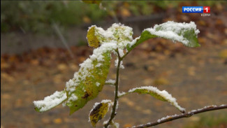 Погода в выходные ожидается очень переменчивой