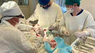 Воркутинские врачи освоили новые методы сосудистой хирургии с федеральным экспертом