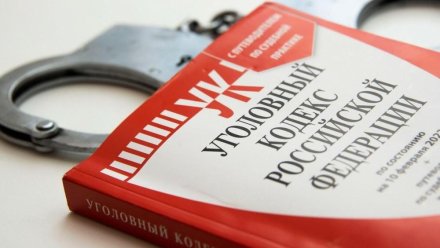 В Сосногорске следователем полиции возбуждено уголовное дело в отношении водителя, спровоцировавшего ДТП со смертельным исходом