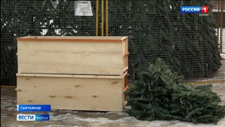 28 дней до Нового года: продолжаем обратный отсчет до Нового года