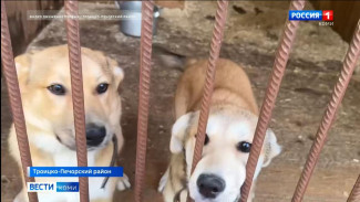 Юные активисты Троицко-Печорска присоединились к Всероссийской акции «Носики Первых»