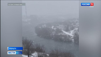 Заполярье накрыла сильная метель