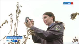 Сотрудники Россельхознадзора проверили участки нарушающие требования законодательства