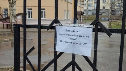 Противоклещевая обработка школьных территорий в Сыктывкаре проводится специализированными организациями
