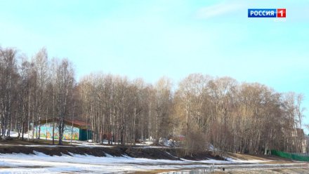 В Сыктывкаре обработка от клещей начнется раньше обычного