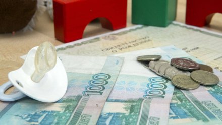 Коми 1190 семей получили ежемесячную выплату при рождении третьего или последующего ребенка