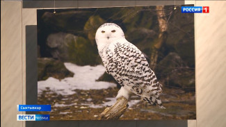 В столичной галерее «Пейзажи Севера» открылась фотовыставка «Арктика — наука и искусство. Герои Севера»