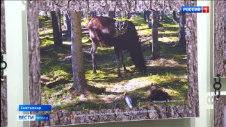 Фотовыставка Божелесье в Национальном музее Коми