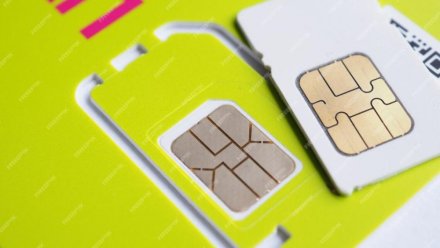 В Троицко-Печорском районе к административной ответственности привлечен предприниматель, продавший СИМ-карту на основании скришнота с Госуслуг