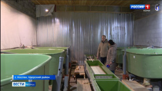 Удорский отдел Главрыбвода начинает реконструкцию цеха выращивания рыбы