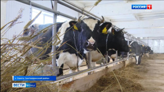 В селе Пажга завершился ремонт в заброшенном коровнике