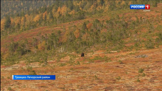 Республика Коми заняла третье место по приросту туристов