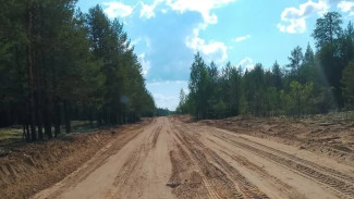 Определен подрядчик по ремонту подъезда к поселку Мещура