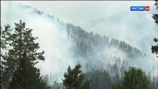 За неделю огнеборцы МЧС Коми потушили 17 лесных пожаров