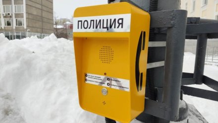 В Сыктывкаре появился первый терминал экстренной связи с полицией