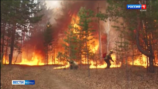 В Республике Коми в течение трёх дней будут преобладать IV и V класс пожарной опасности