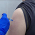 В Коми поступила вакцина от клещевого вирусного энцефалита