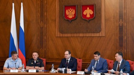 Ростислав Гольдштейн поручил проверить техническое состояние арендных самокатов в Коми