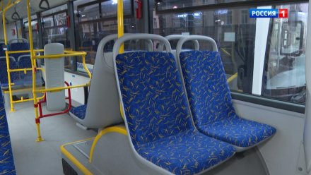 39-летний сыктывкарец осужден за хулиганство, жертвами которого стали двое подростков